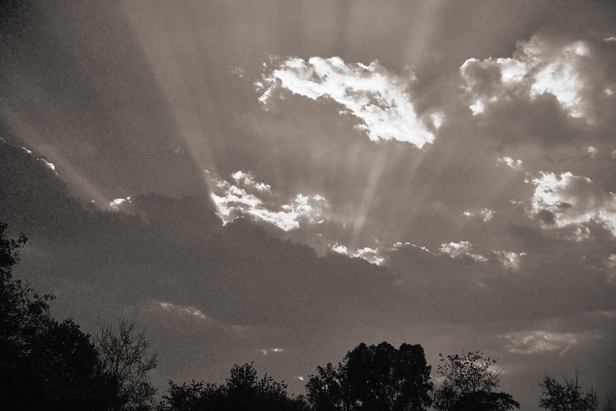 20140111 005 룸비니(부처 탄생지)